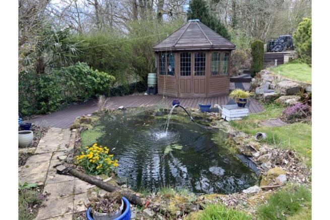Pond