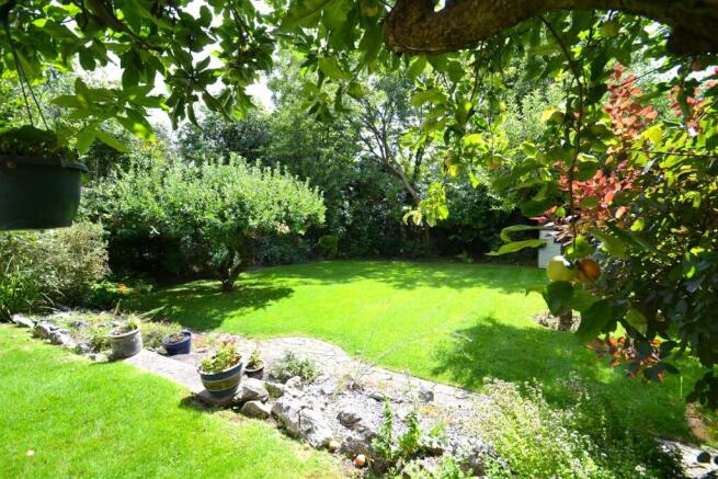 Garden 2.JPG