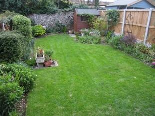 Back Garden