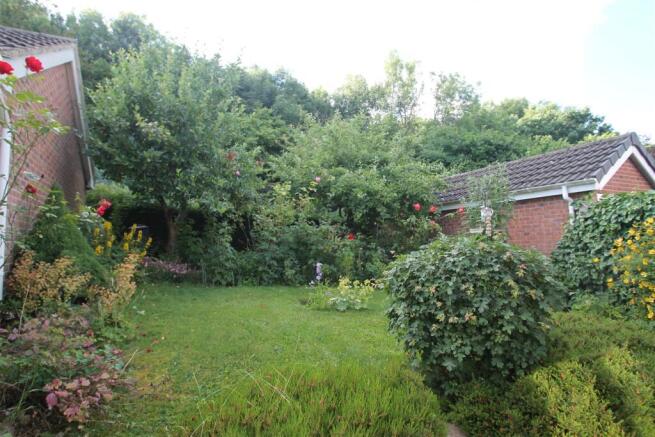 garden.JPG