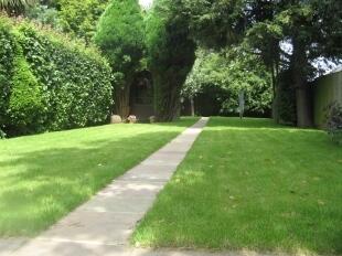 Rear Garden 3