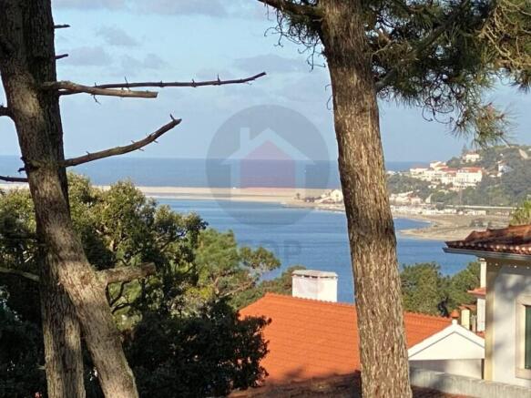 Plot in Obidos Lagoon