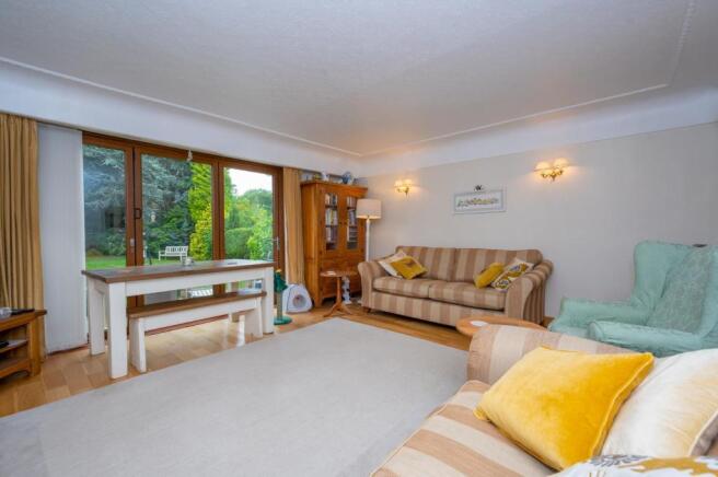 DSC_3531.jpg