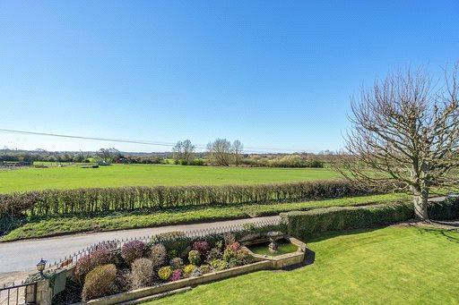 Garden & Views