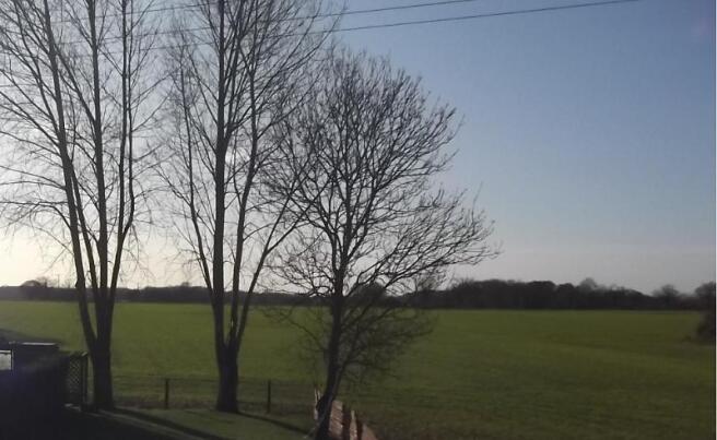 View of field to rear of property