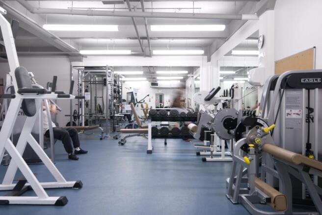 Gym