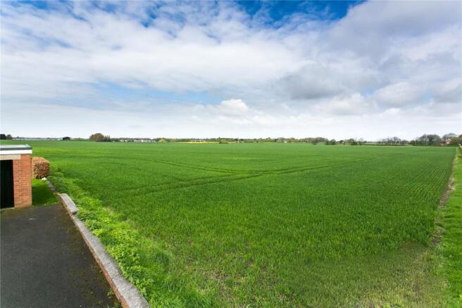 Adjacent Farmland