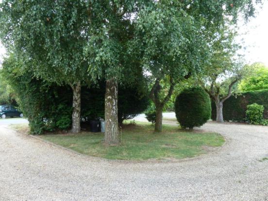 In Out Driveway