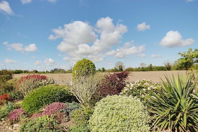 Countryside Views