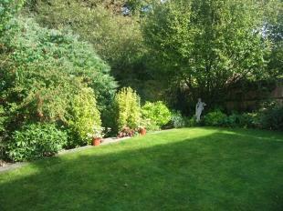 Garden 4