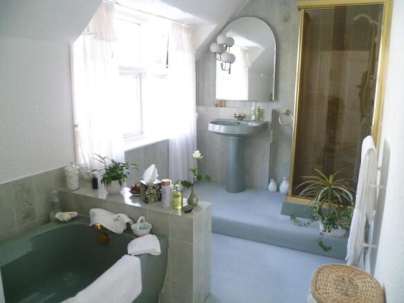 Image 11