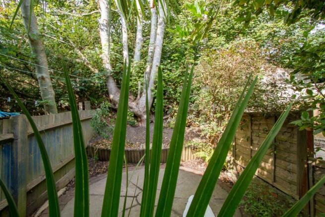 garden2.jpg