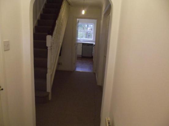 Picture No.16