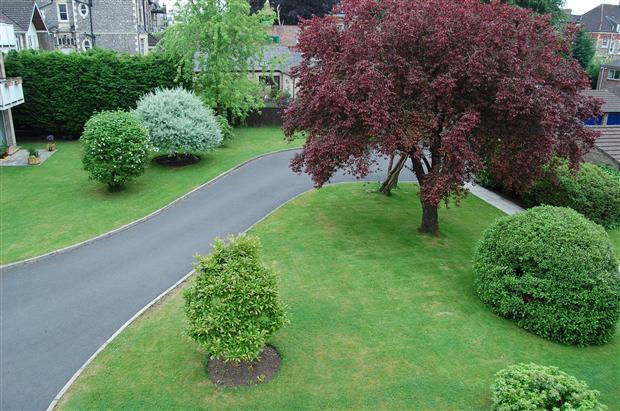 Communal Gardens