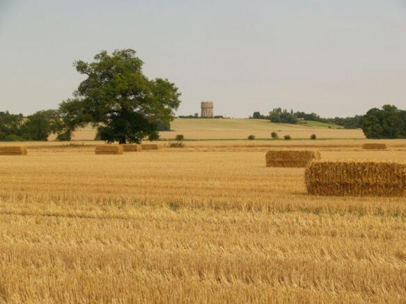 Harvest Time