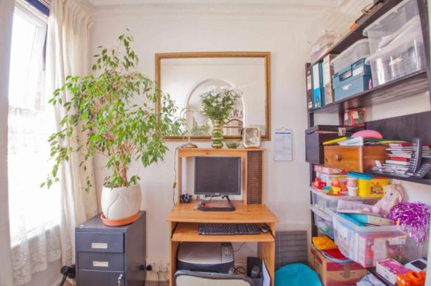 Study Area