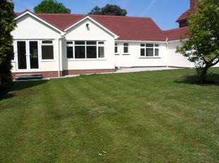 Rear Elevation