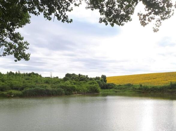 Calm fishpond bordered by green bushes and a yellow field in the distance beneath an overcast sky.