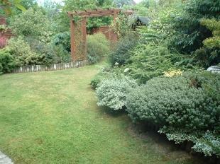 Garden Shot 1