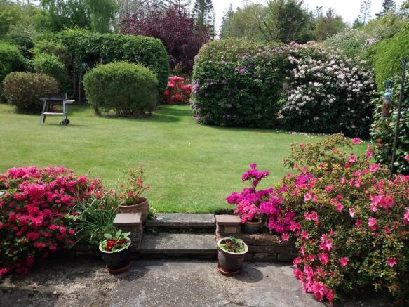 Photo 23