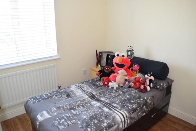 Photo 12