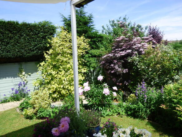 Photo 15