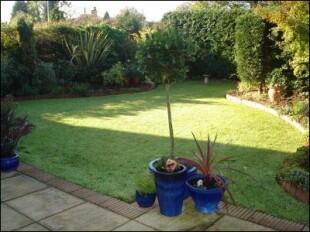 Garden 1