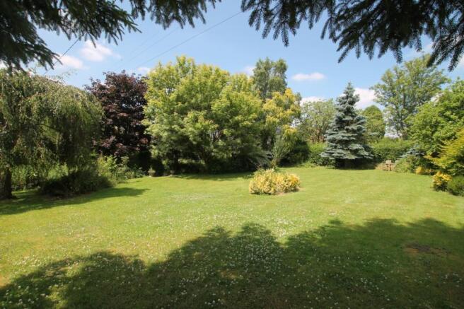 Garden 2