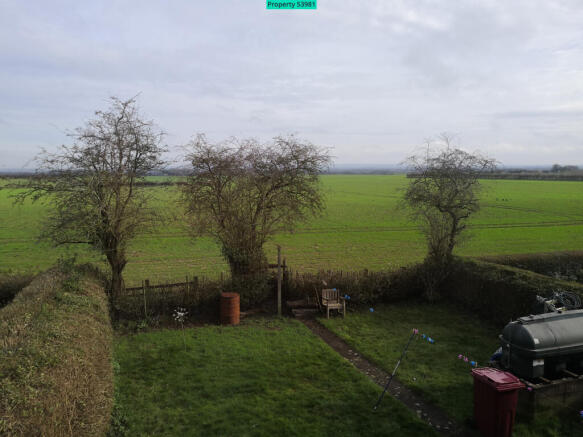 View from back window