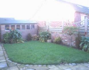 Image 7