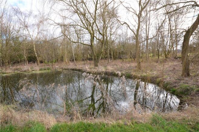 Pond