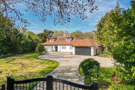 Back Lane, Fryerning