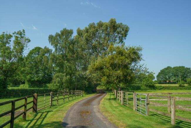 Driveway