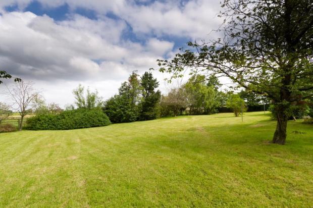 Grounds