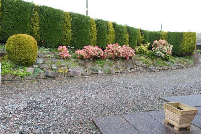 front garden