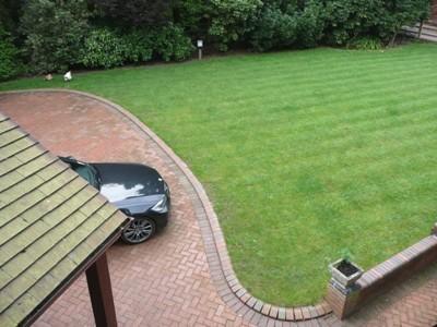 Lawn
