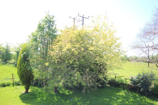 Picture No.13