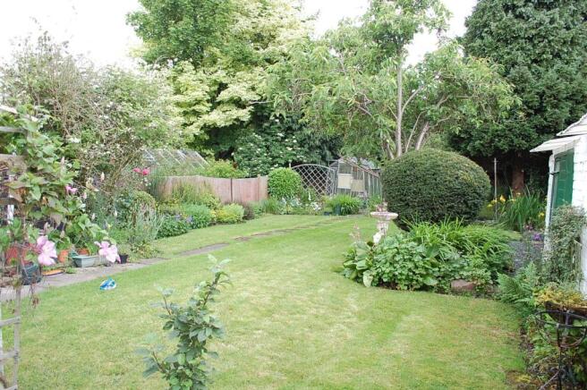 Photo 7
