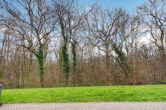 View from Property at Front