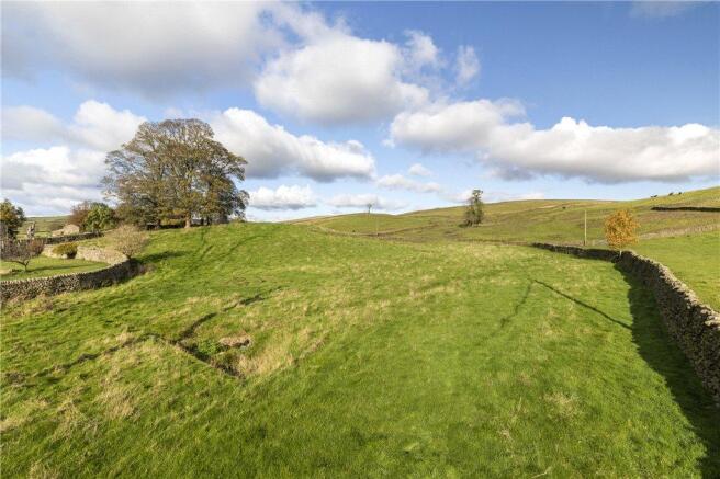 Field