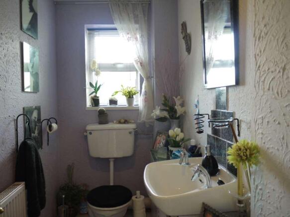 Photo 11