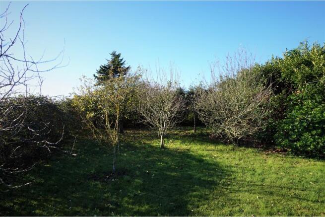 Orchard