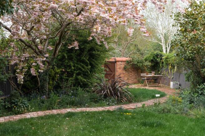 Back Garden