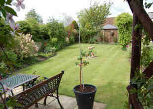 Front Garden