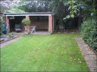 Rear Garden 2nd Part