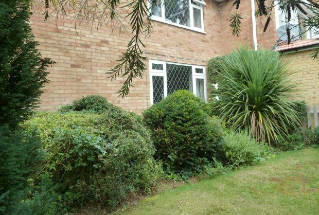 Front Garden
