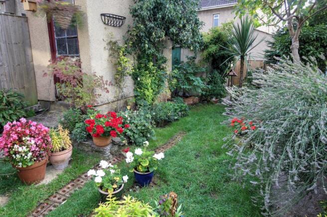 Garden 3