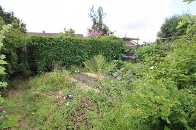 Rear garden - ...