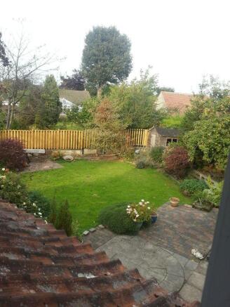 Photo 23