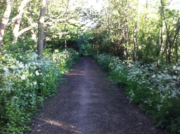 Bridle-path